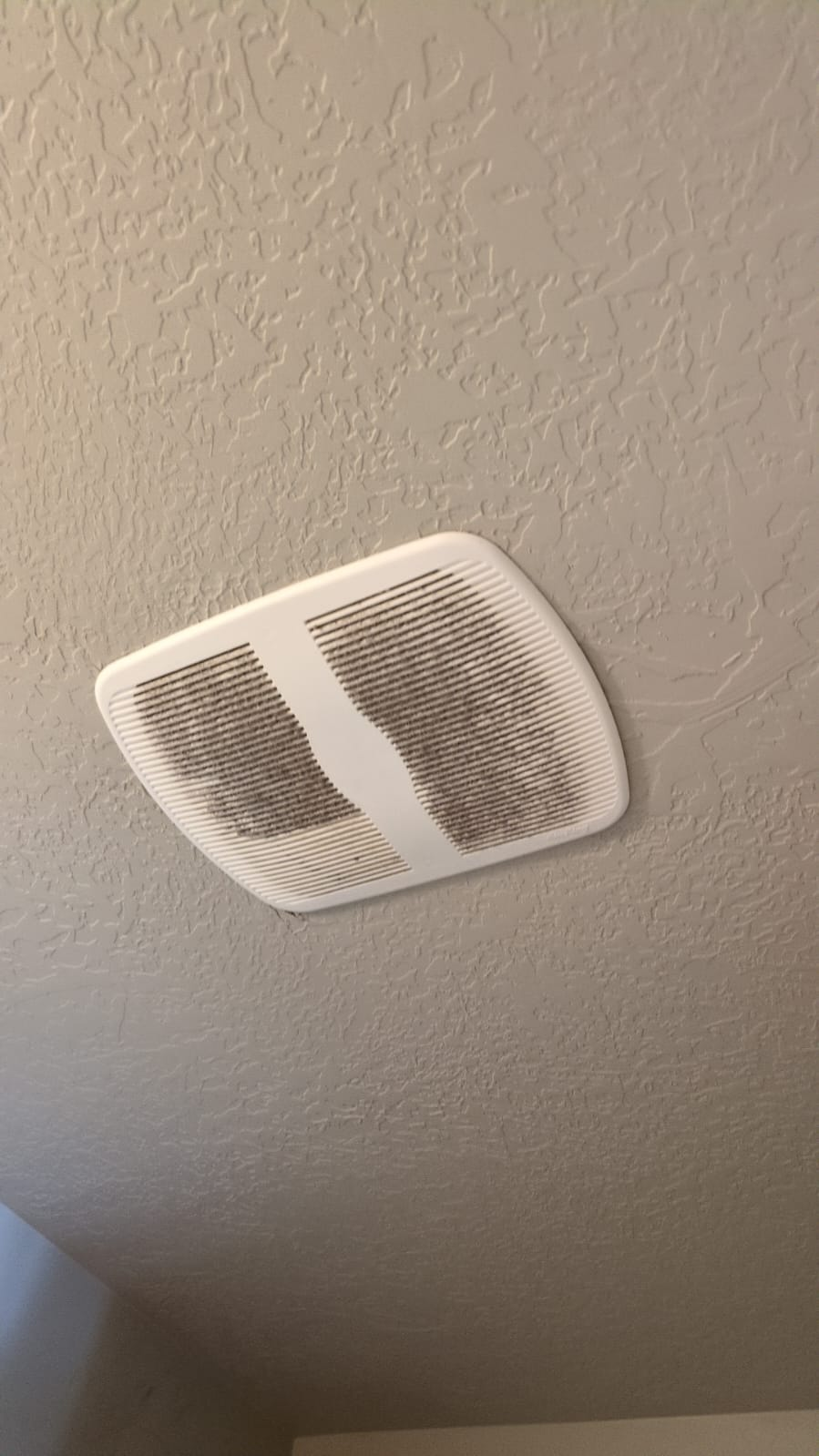 Bathroom exhaust vent